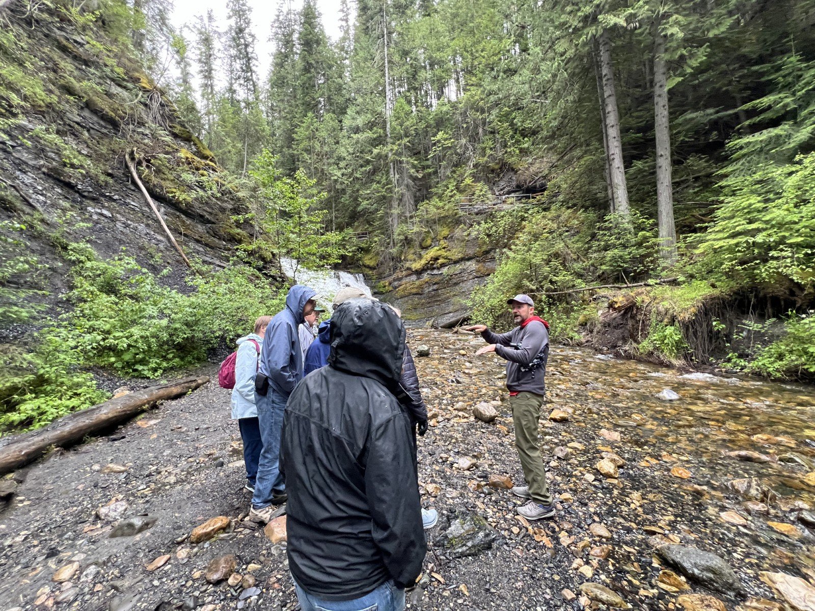 Day 3 - Stop 3.2 Sweet Creek Falls