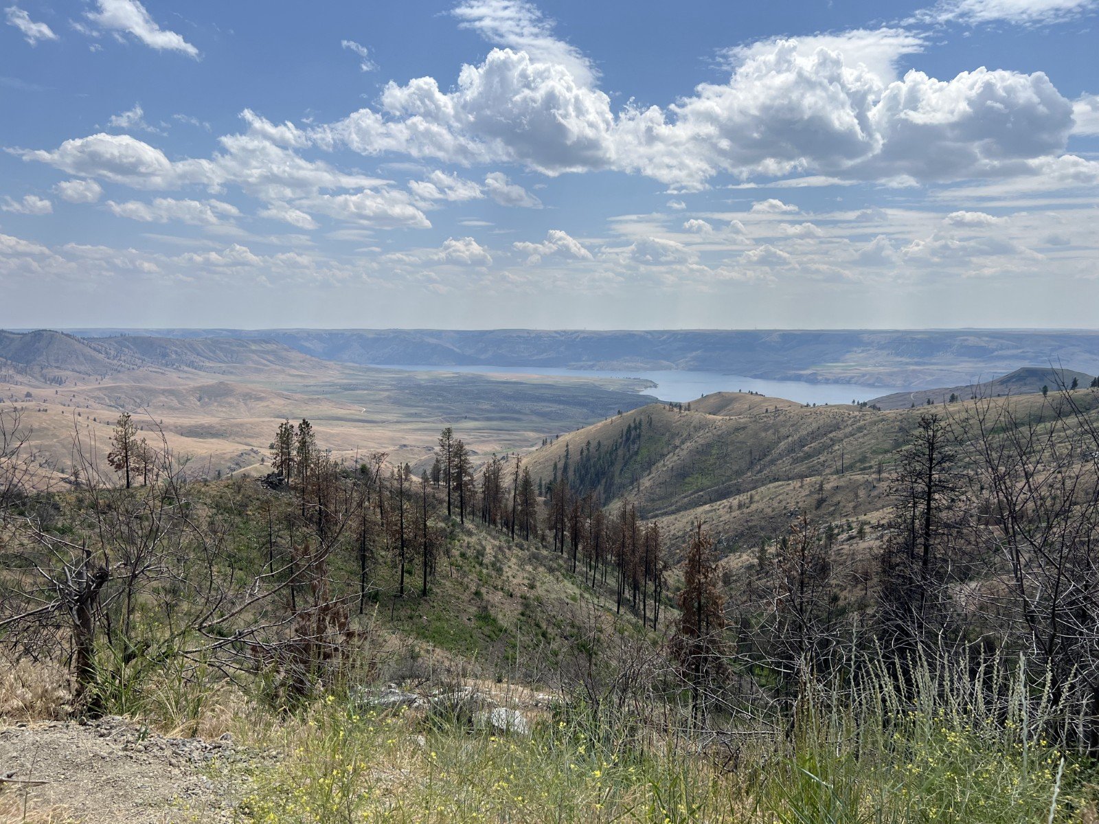Manilla Creek Road