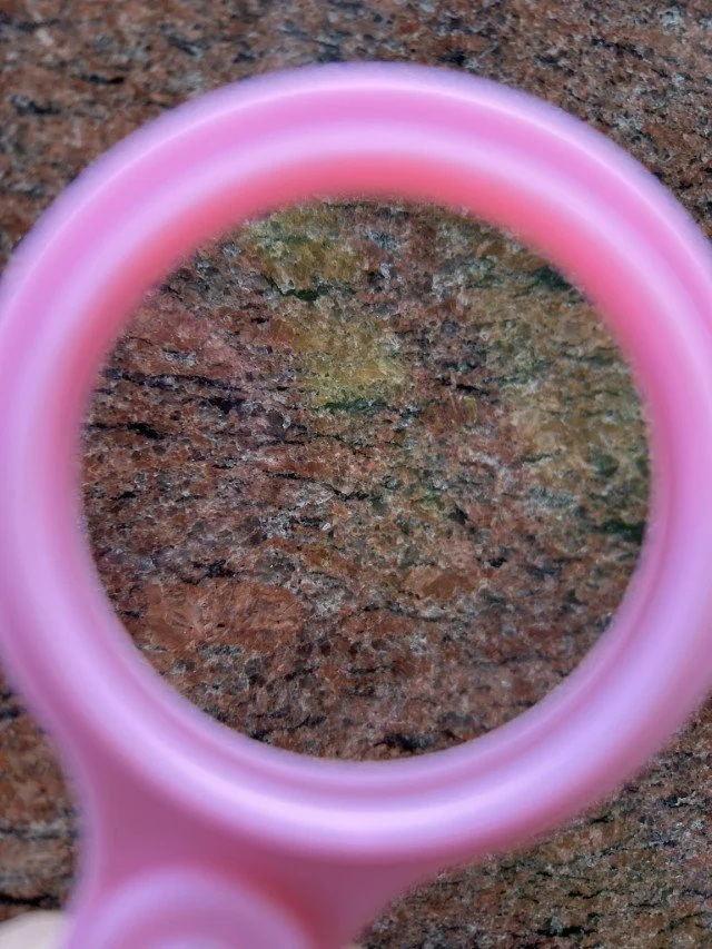  Metagranite closeup 