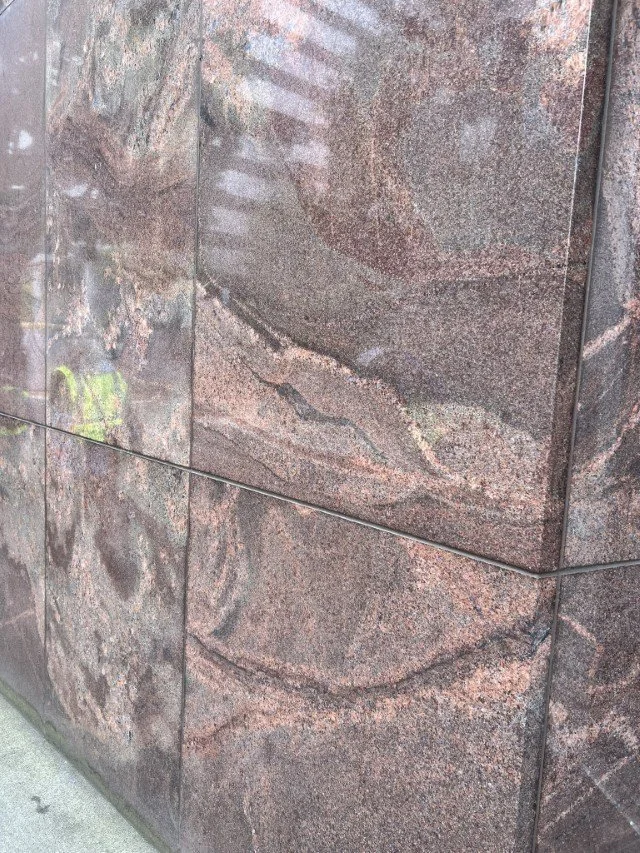  Closeup of the beautiful migmatite 