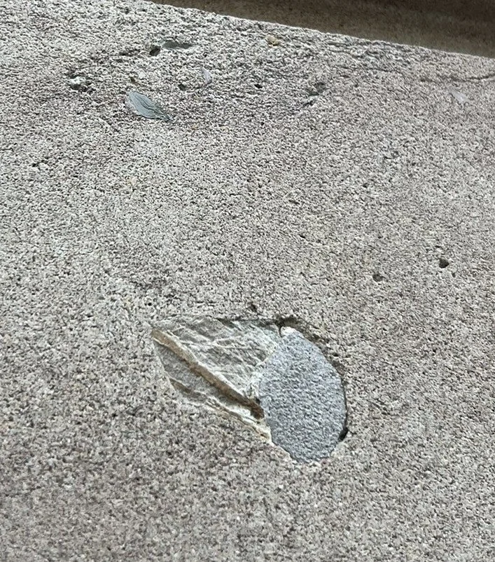  Fossil closeup in the limestone 