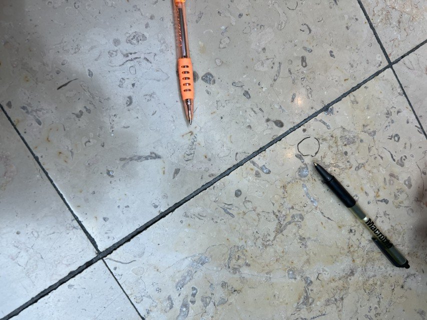  Belemnite and clam fossils in floor tiles in the fountain courtyard area of the Pioneer Place Mall 