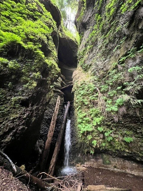 A Hike into the Sandy River Canyon