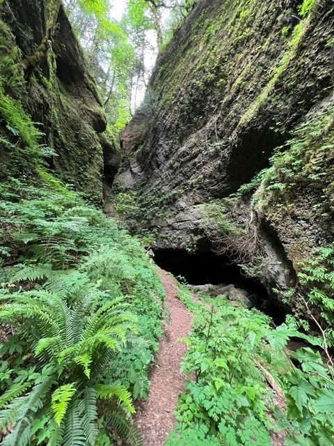  The path heads around the hill to the alcove containing the waterfall. 