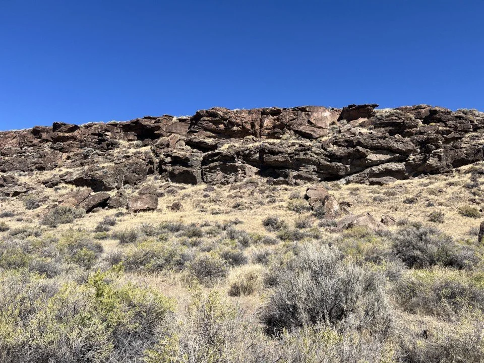  The Rattlesnake tuff forming a capping deposit. 