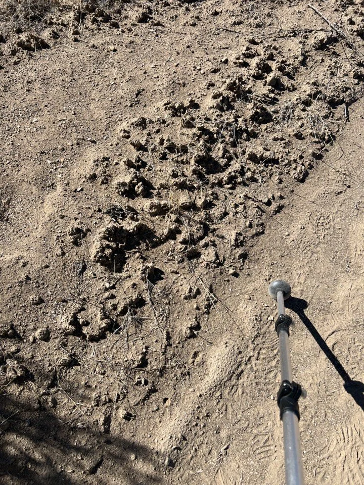  Cryptobiotic soil crust, which helps soil to retain moisture, takes decades to develop. 
