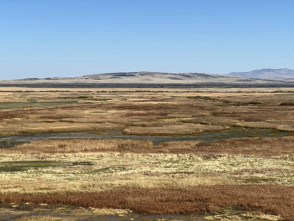  View from the overlook across the marshes to the Diamond Craters area. 