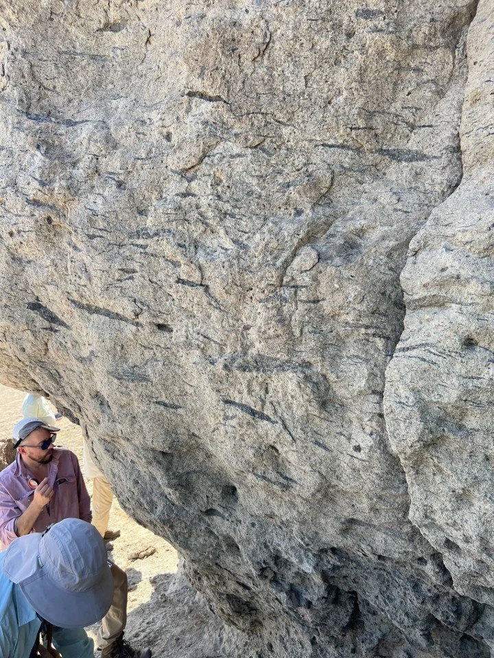 A lot more fiamme lenses were found in this outcrop. 