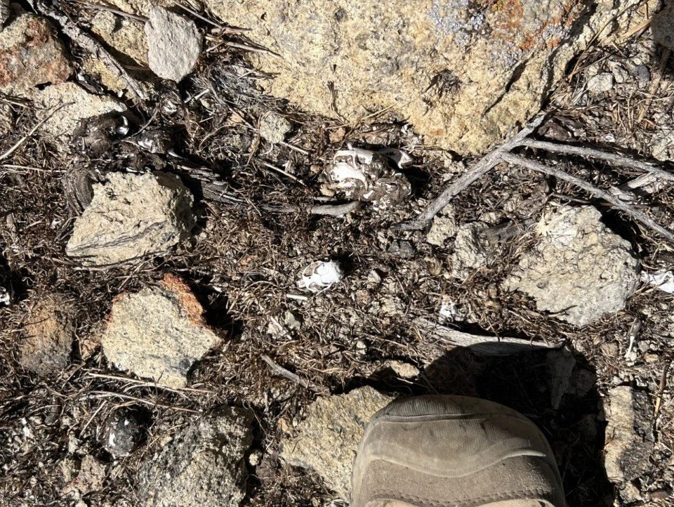  …but they left scraps to id their presence. 