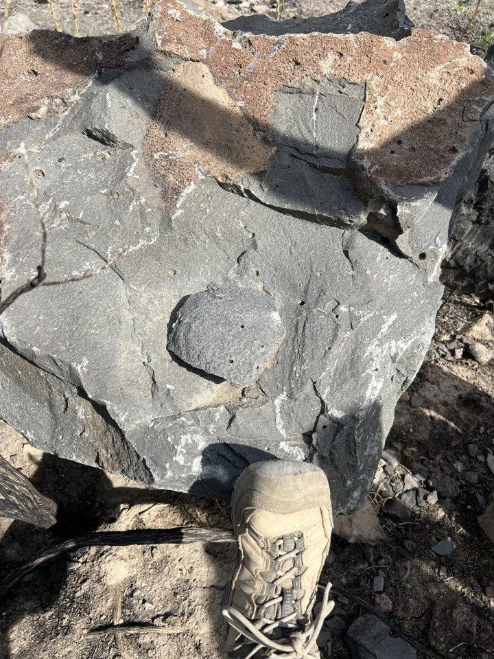  Fine grained Steens Basalt representative. 