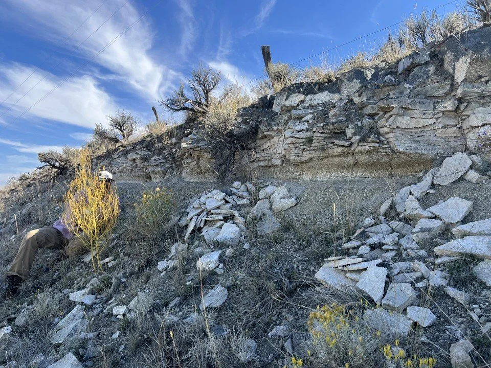  A better view of the welded tuff with the layer of tephra below. 