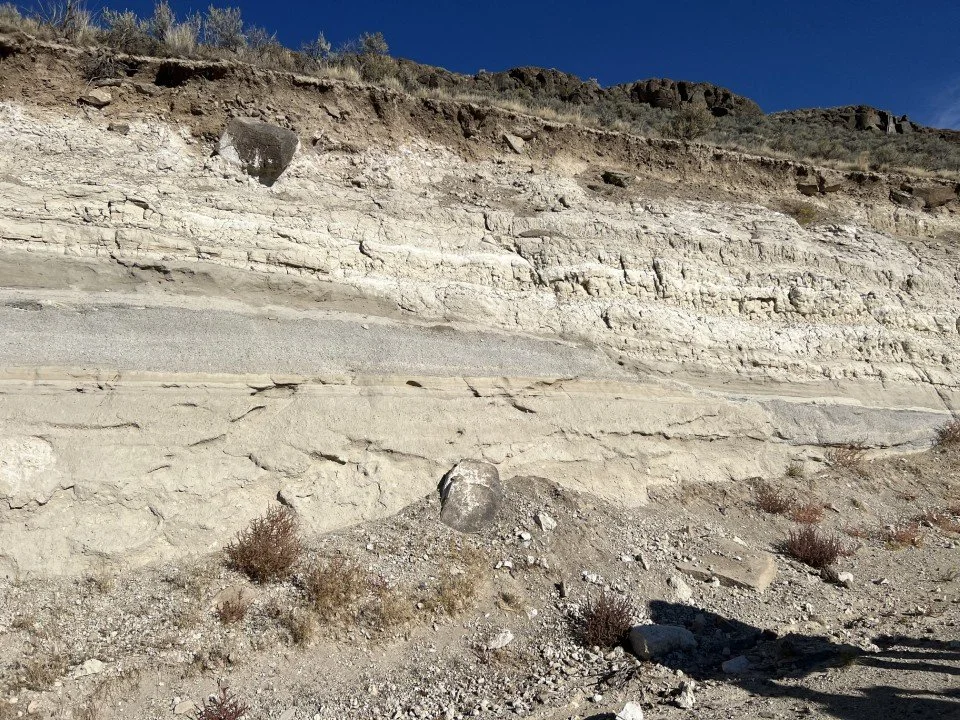  The fault can be clearly seen in the roadcut. 