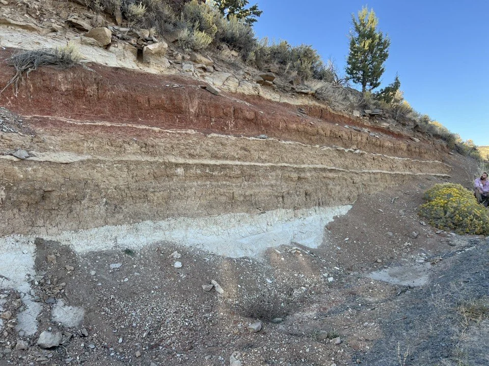  The upper section of the roadcut. Note the red color of the paleosol below the Devine Canyon Tuff. 