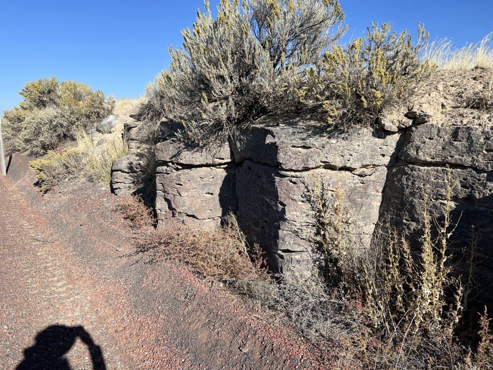  Big blocky columns in Wright’s Point basalt. 