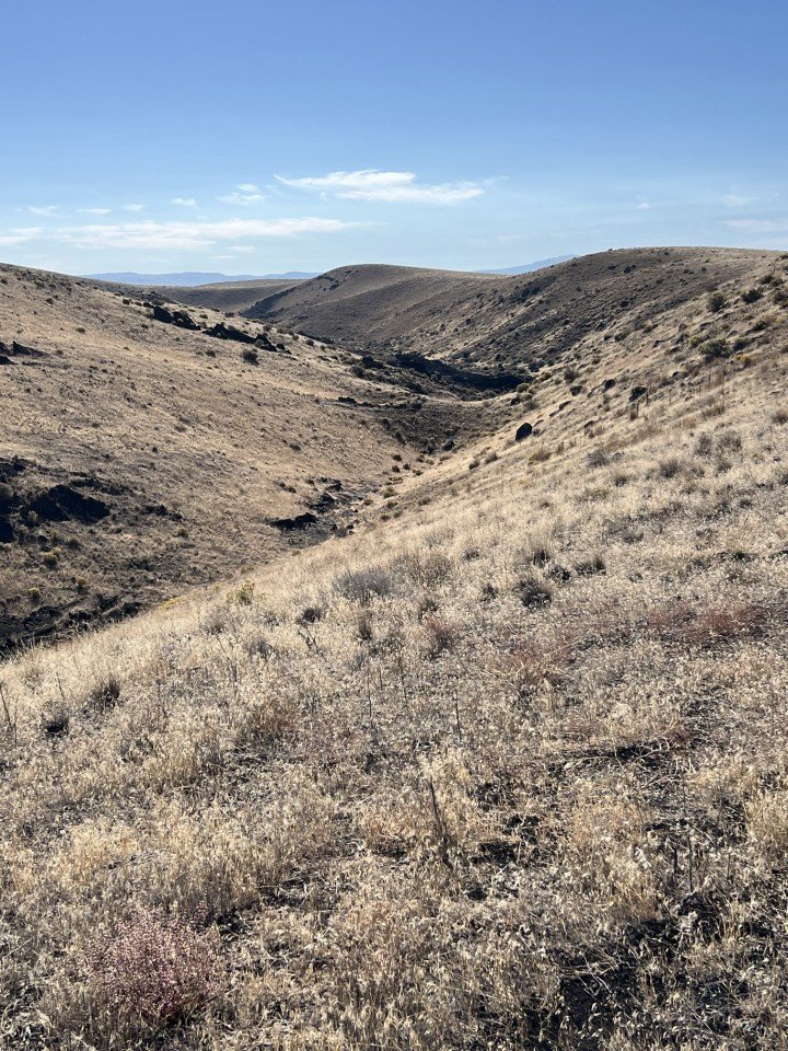  Looking southwest into the trough profile. 