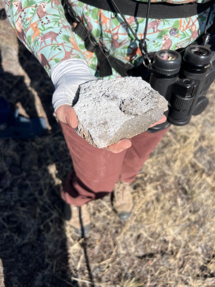  This chunk of basalt was covered in caliche, which is a feature of the desert pavement. 