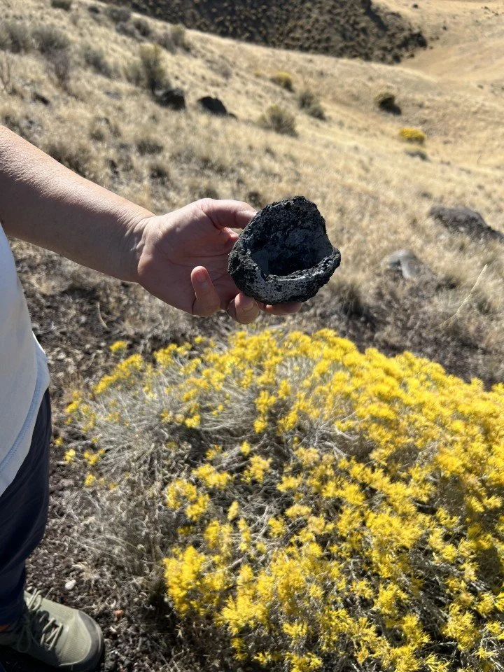  A volcanic bomb in the Central Crater Complex. 