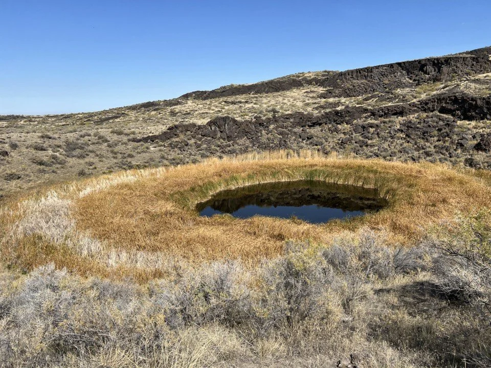  Diamond Pond 