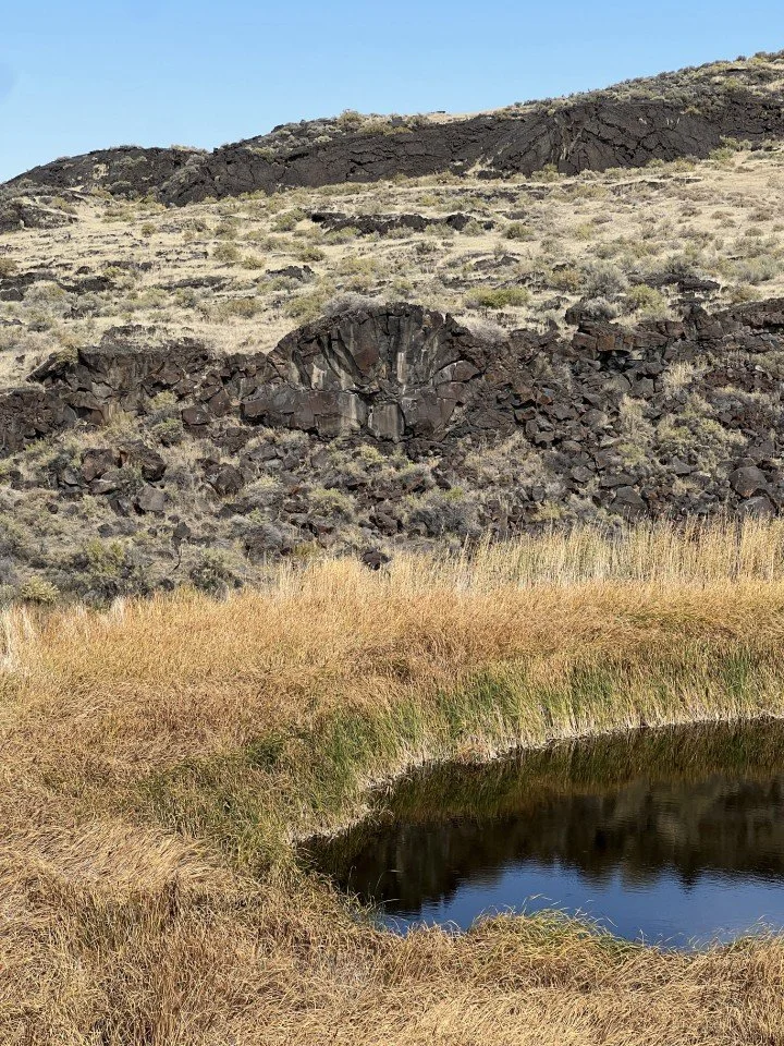  Filled lava tube on the crater wall. 