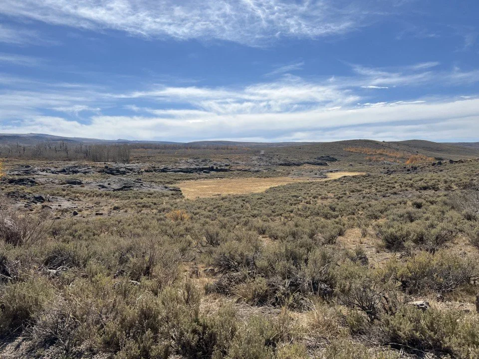  These outcrops of Steens Basalt look like they have been scoured by glaciers. 