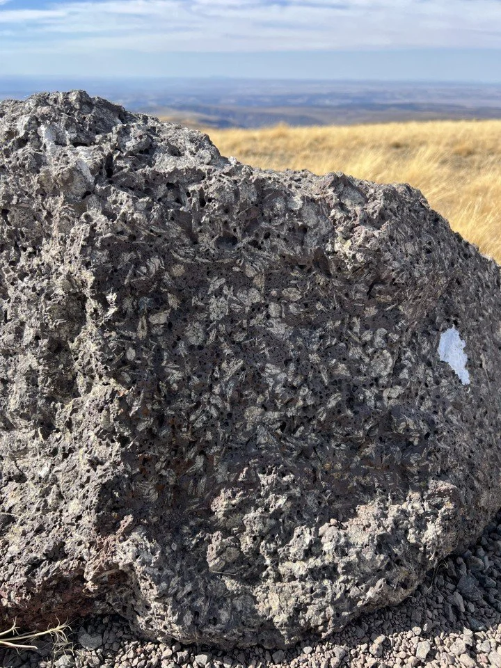  Steens Basalt - the real deal 
