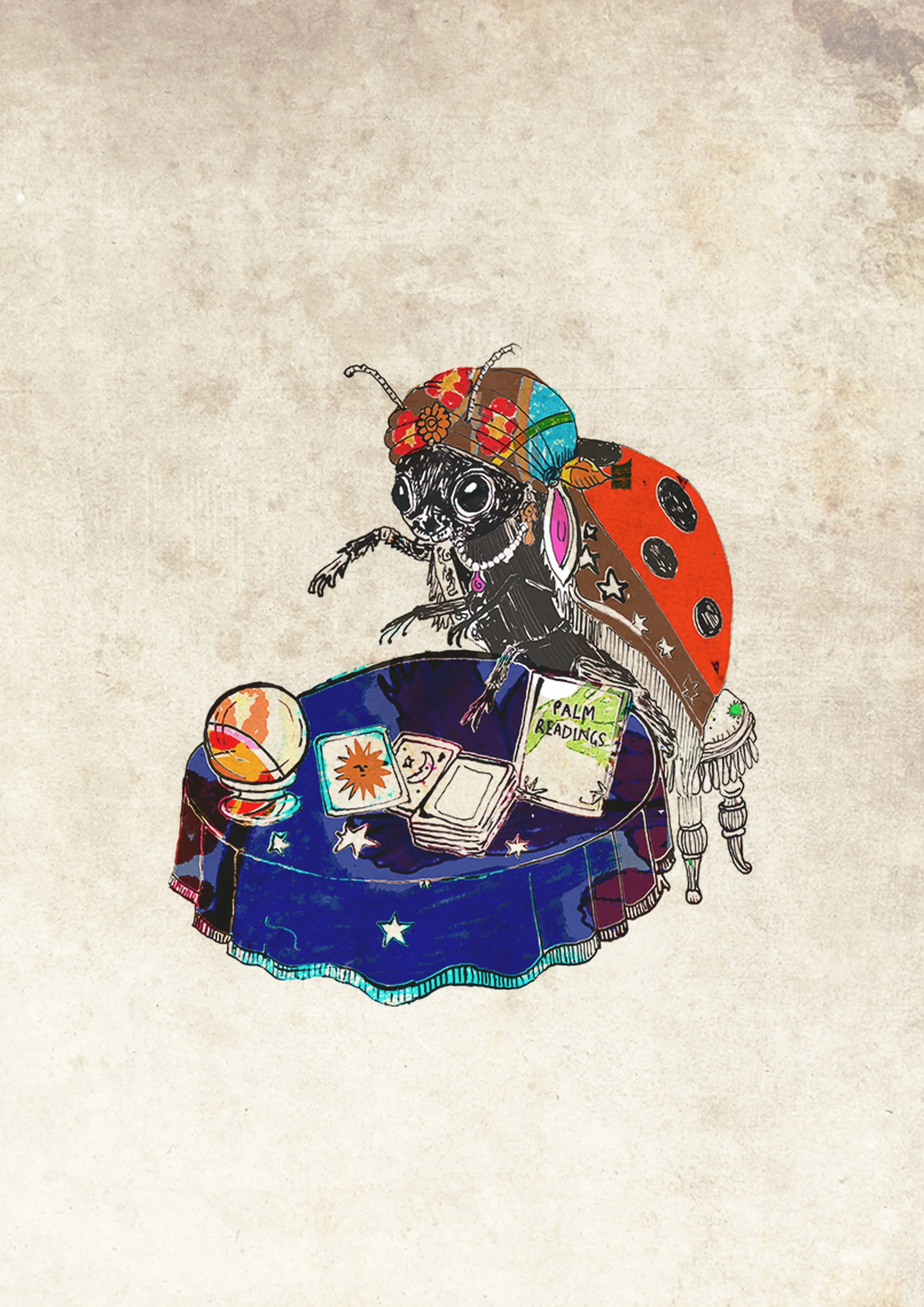 phschic ladybird.jpg