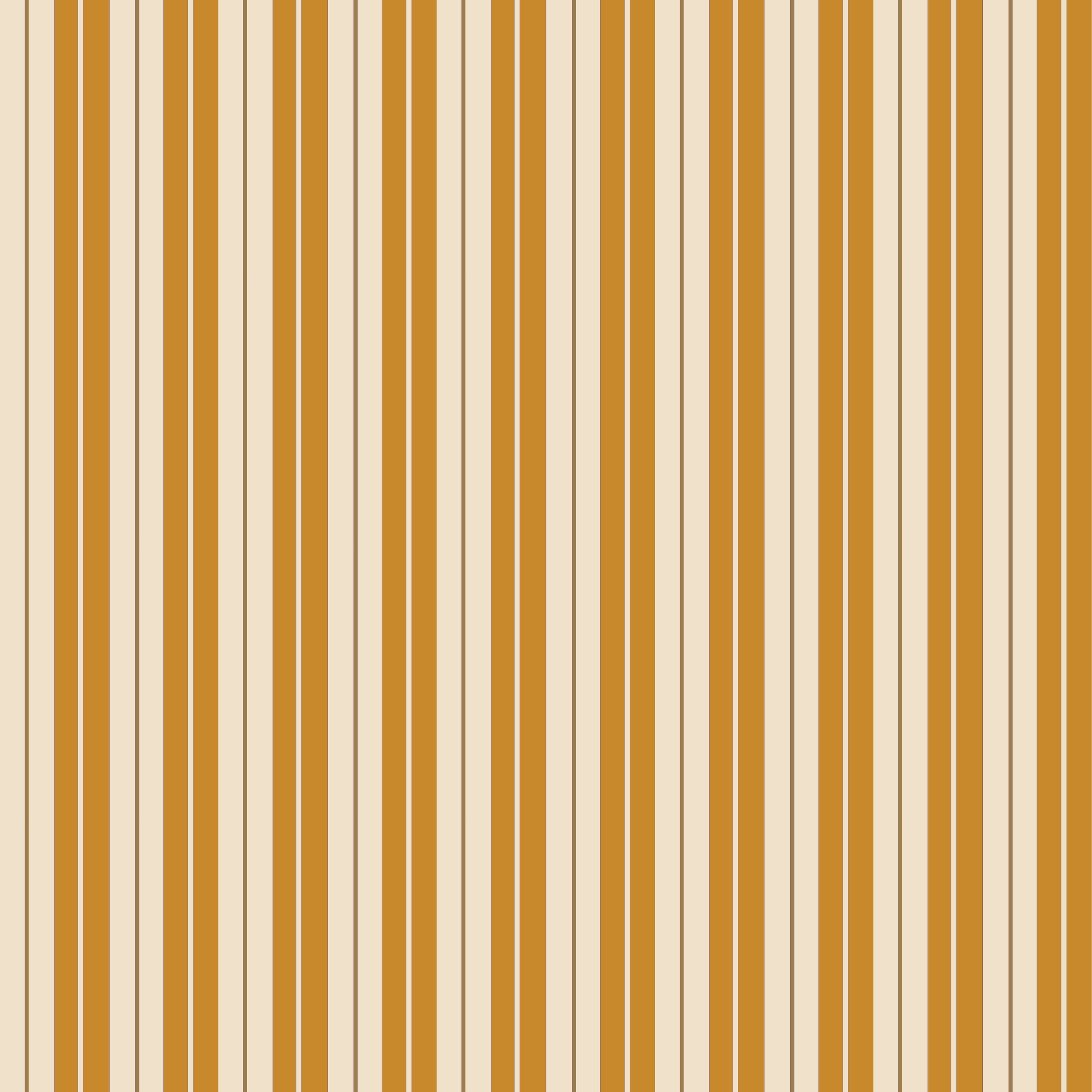 Little Stripe Fabric