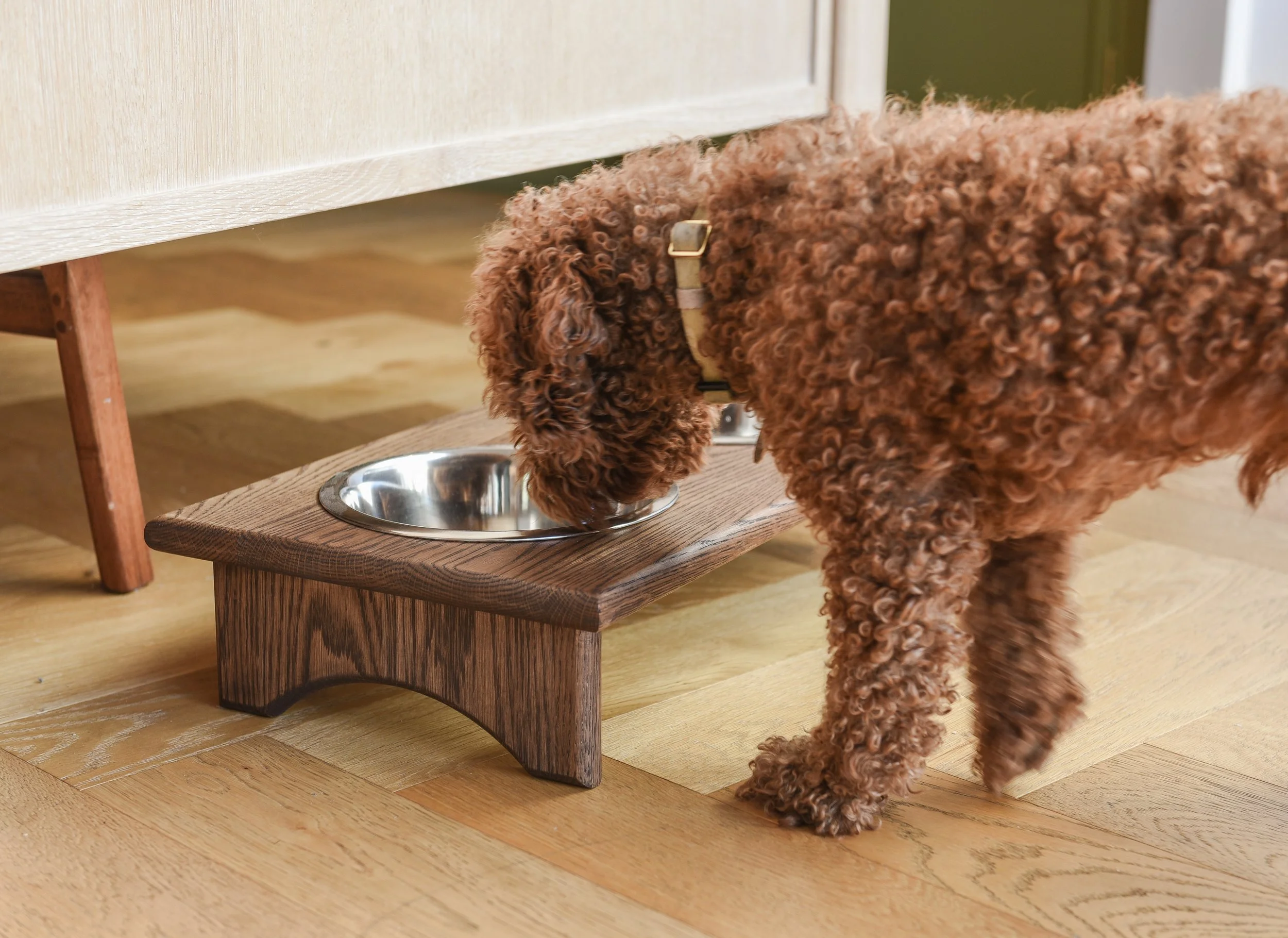 The Pampered Pet Bowls