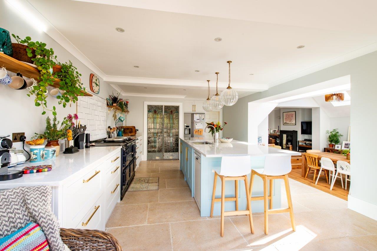A Guide To Plants: Say "Aloe!" to Kitchen Plants — Herringbone ...