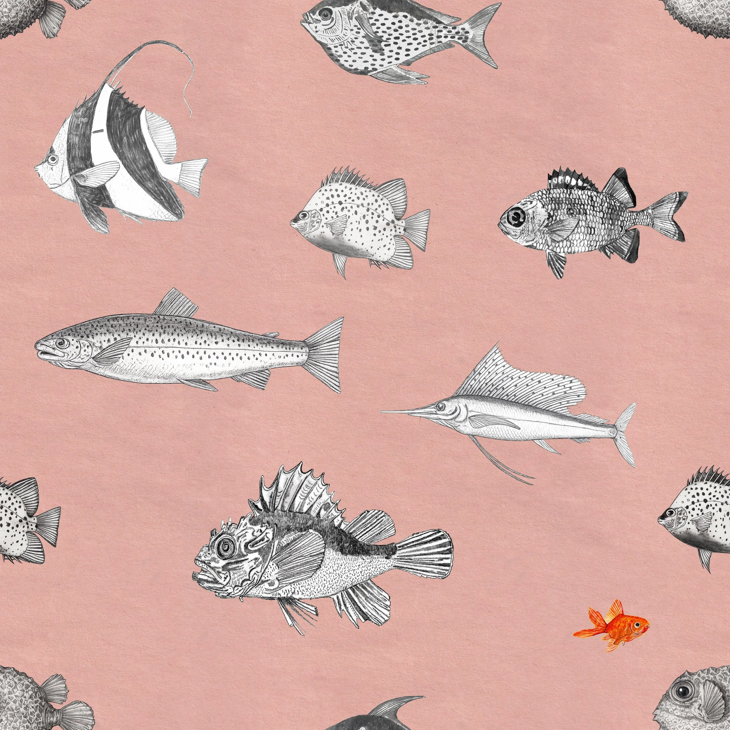 Swimming Against the Tide Wallpaper