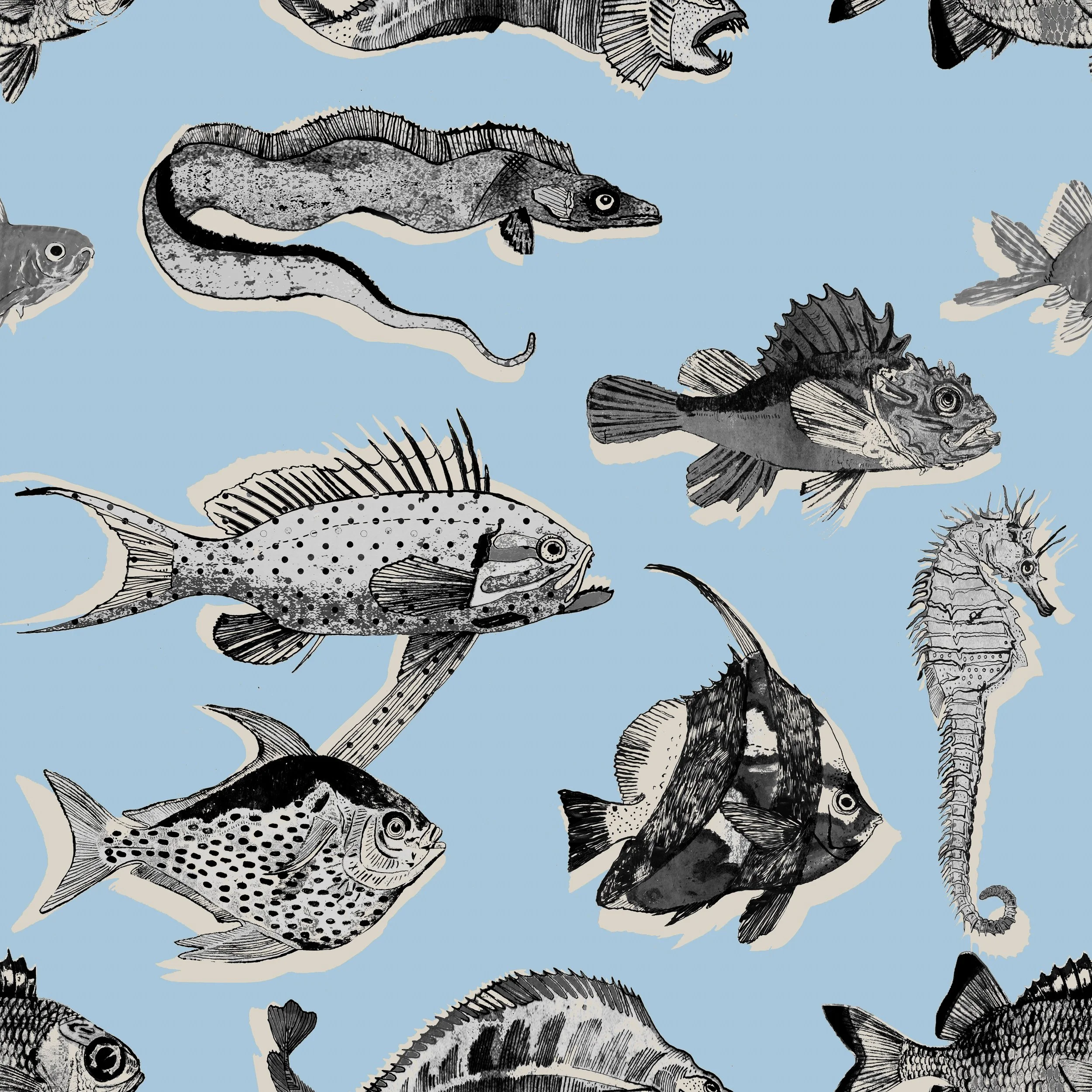 UW-GRMP-05_GrumpyFish_PaleBlueScaryFish_52x52cm-6.JPG