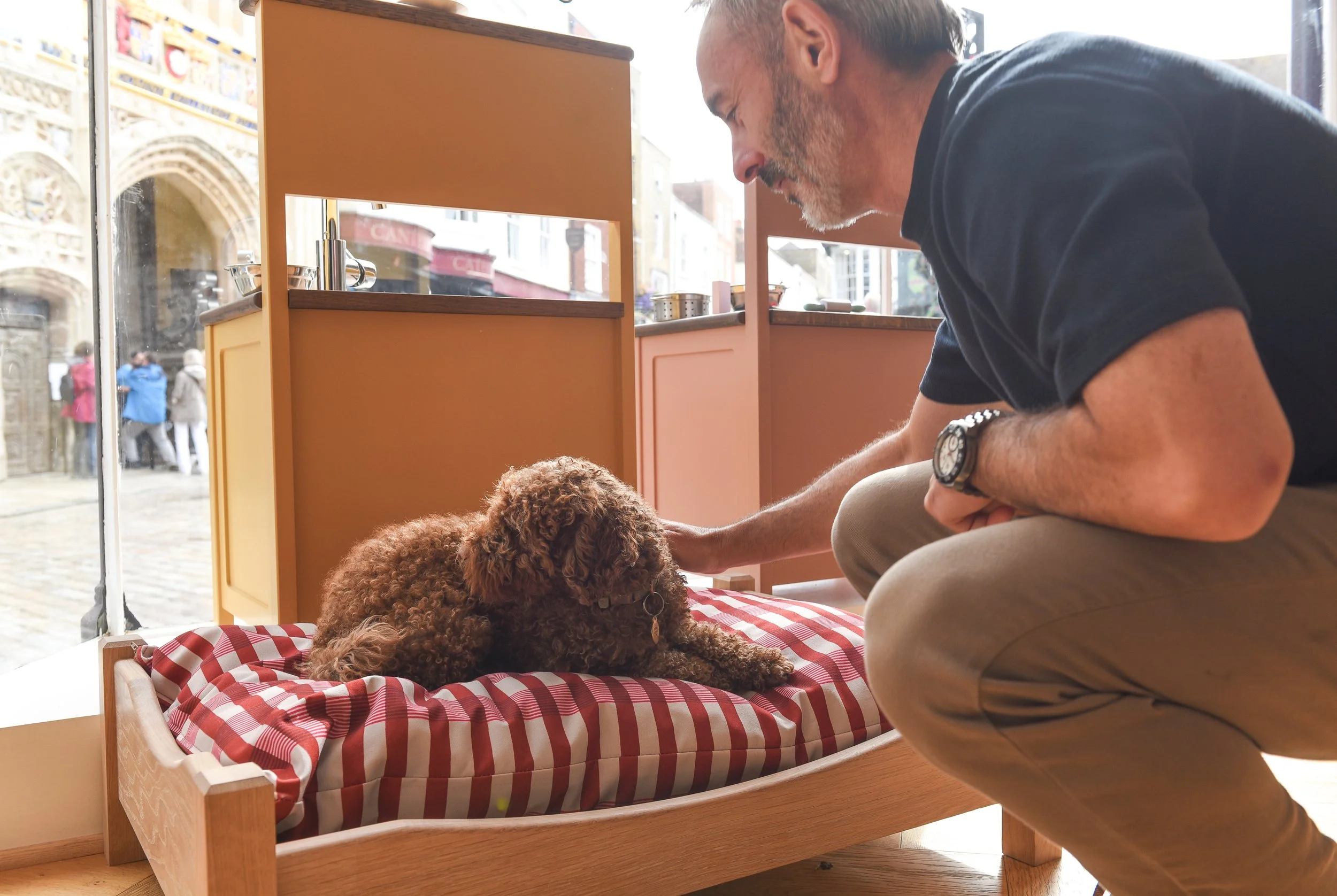 Herringbone House Dog Bed.JPG (Copy)