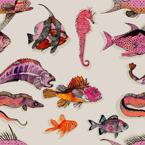 Grumpy Fish Wallpaper