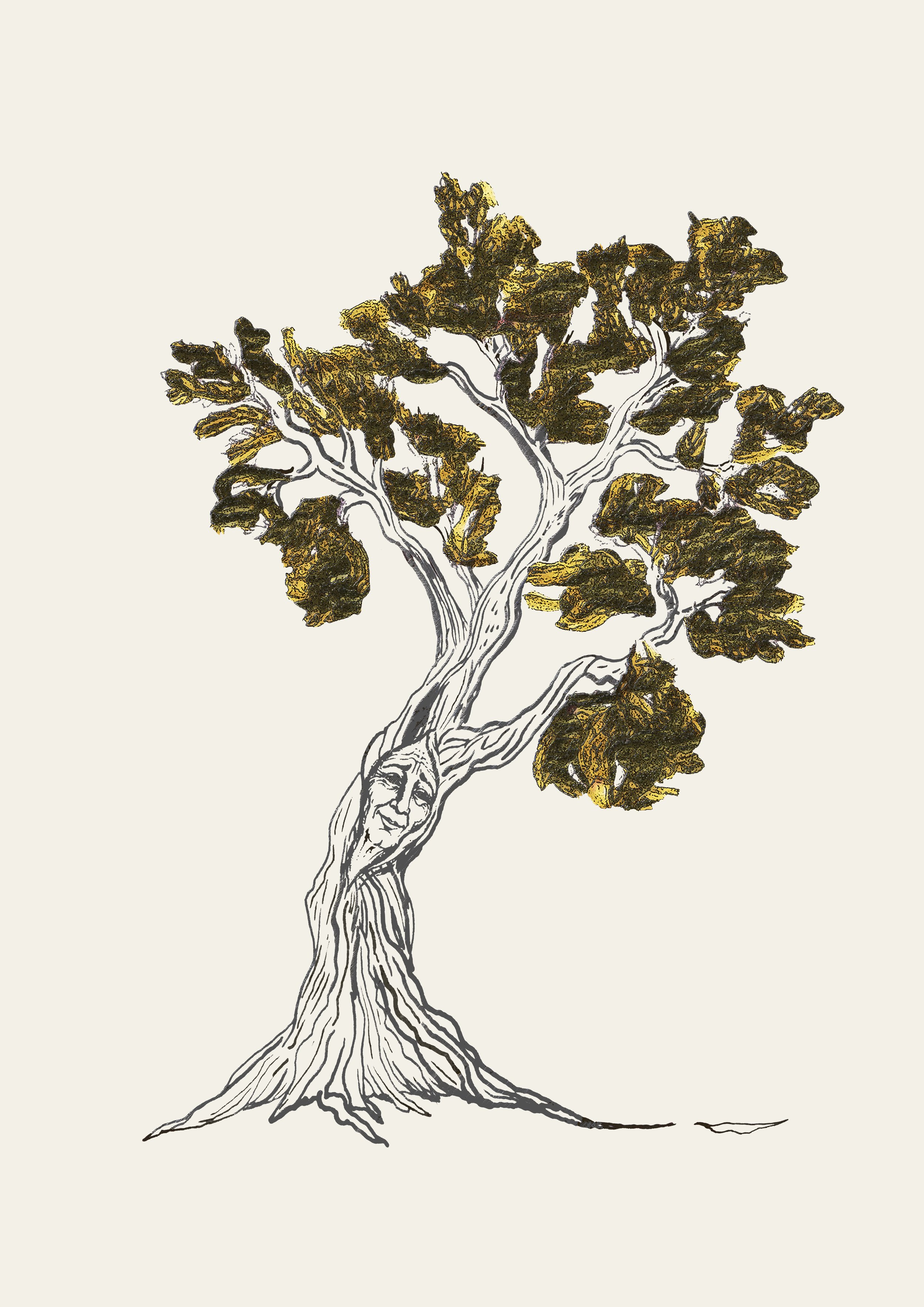 THE MAGIC TREE_A1.jpg