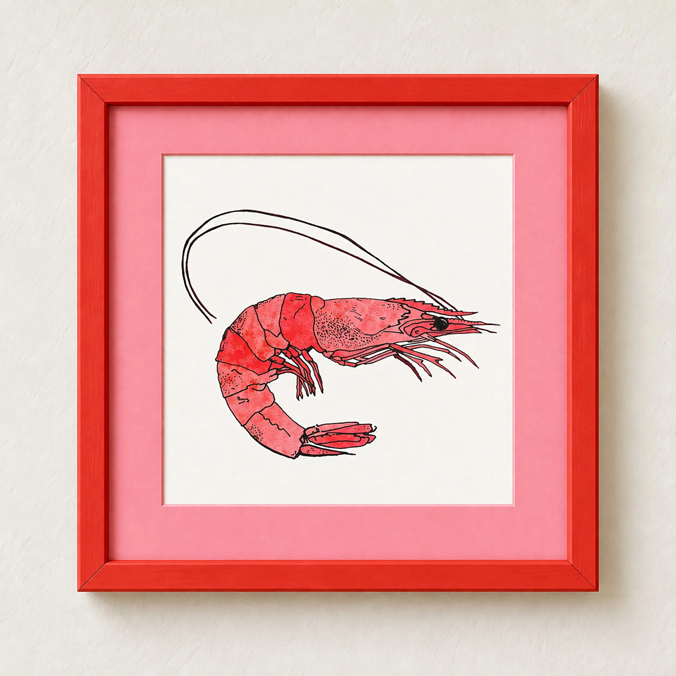 prawn in frame for web.jpg
