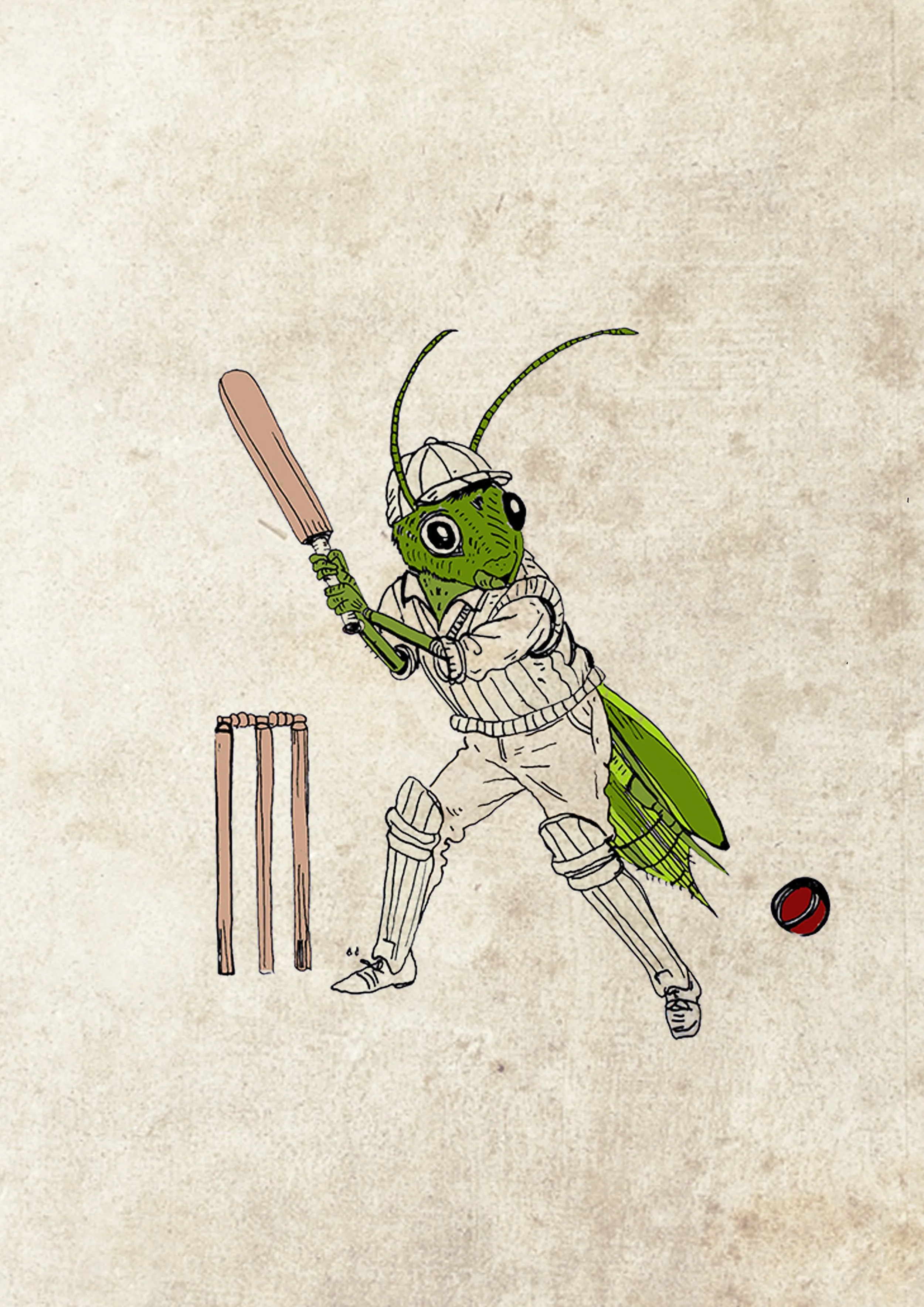 the cricket playing cricket.jpg