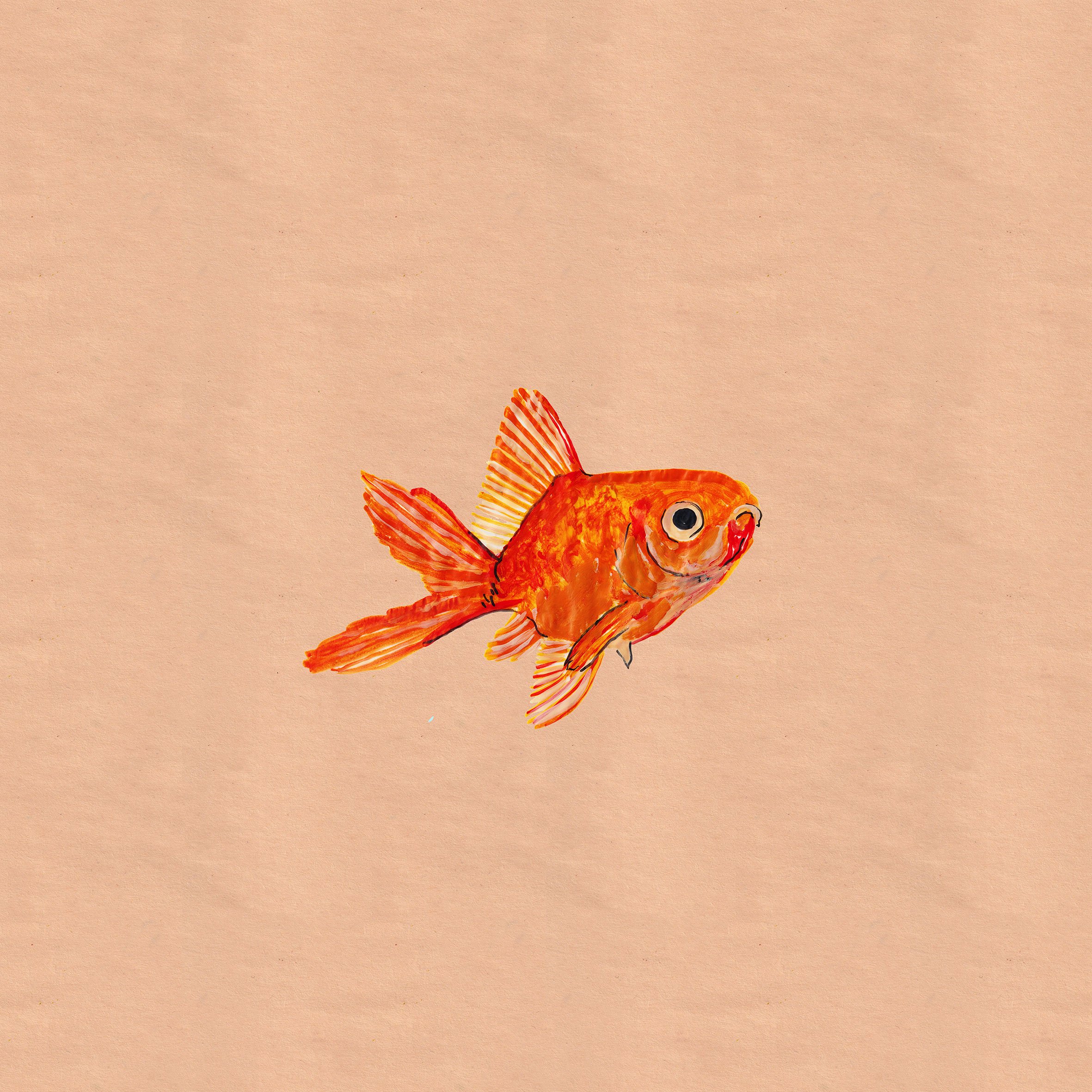 NEMO-ON-PAPER_.jpg