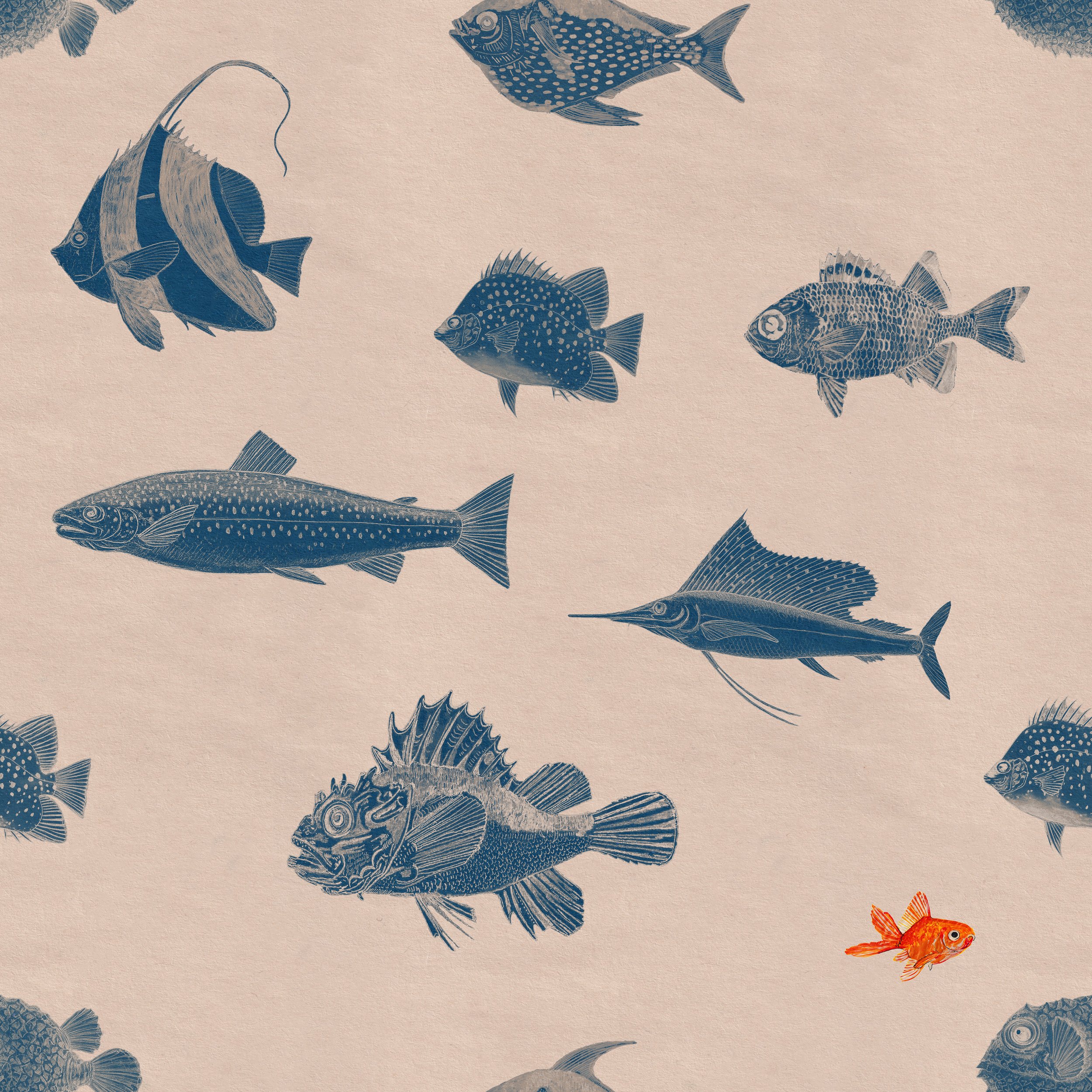 UWE4B7~1.JPG
