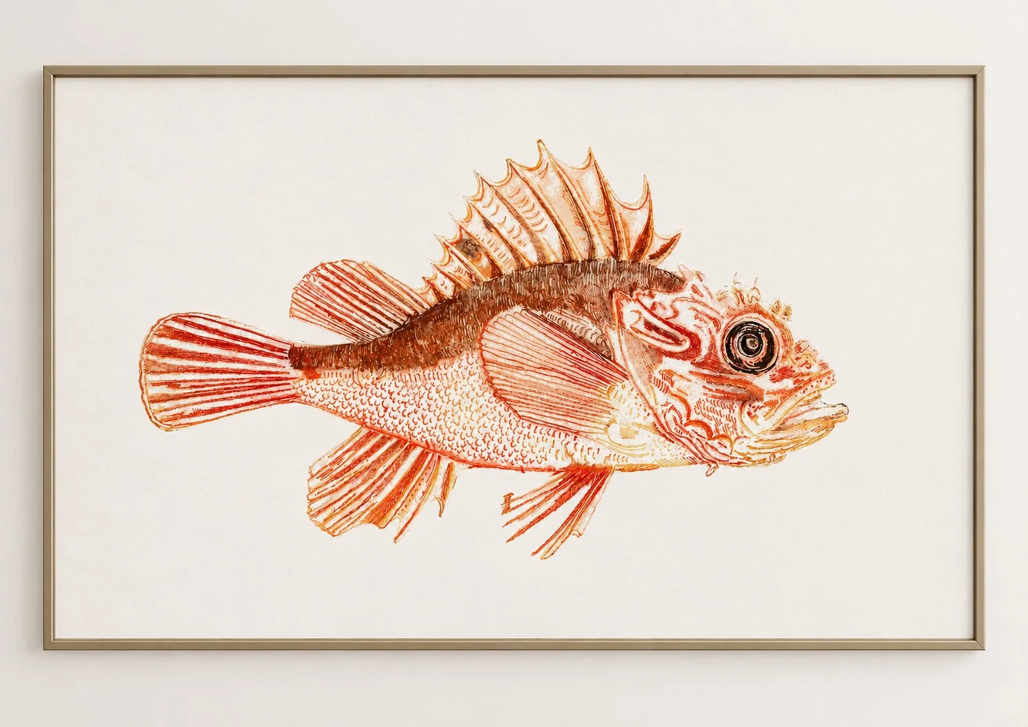 scorpion fish in frame.jpg
