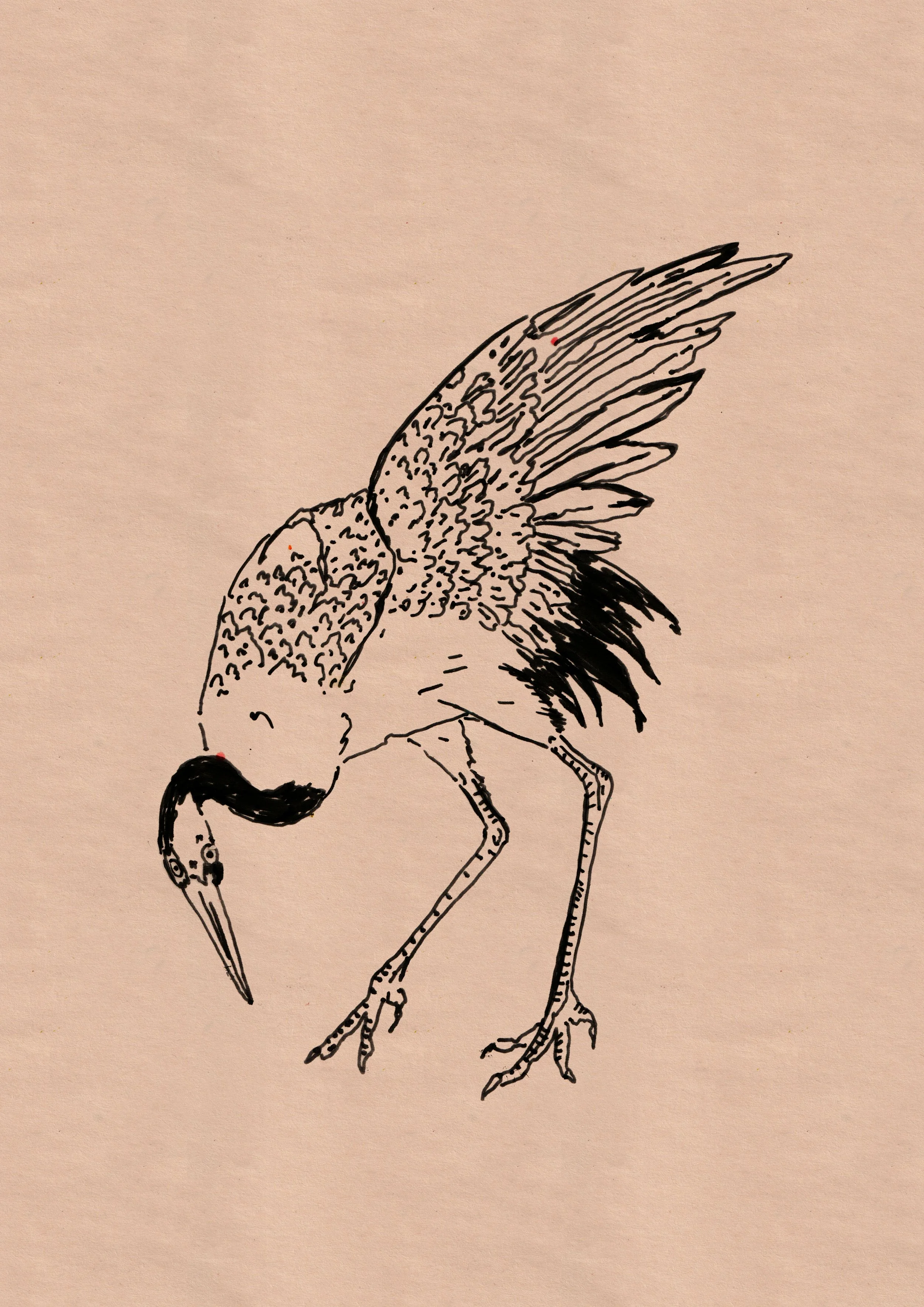 BLACK AND WHITE STORK 2_ON PAPER.jpg