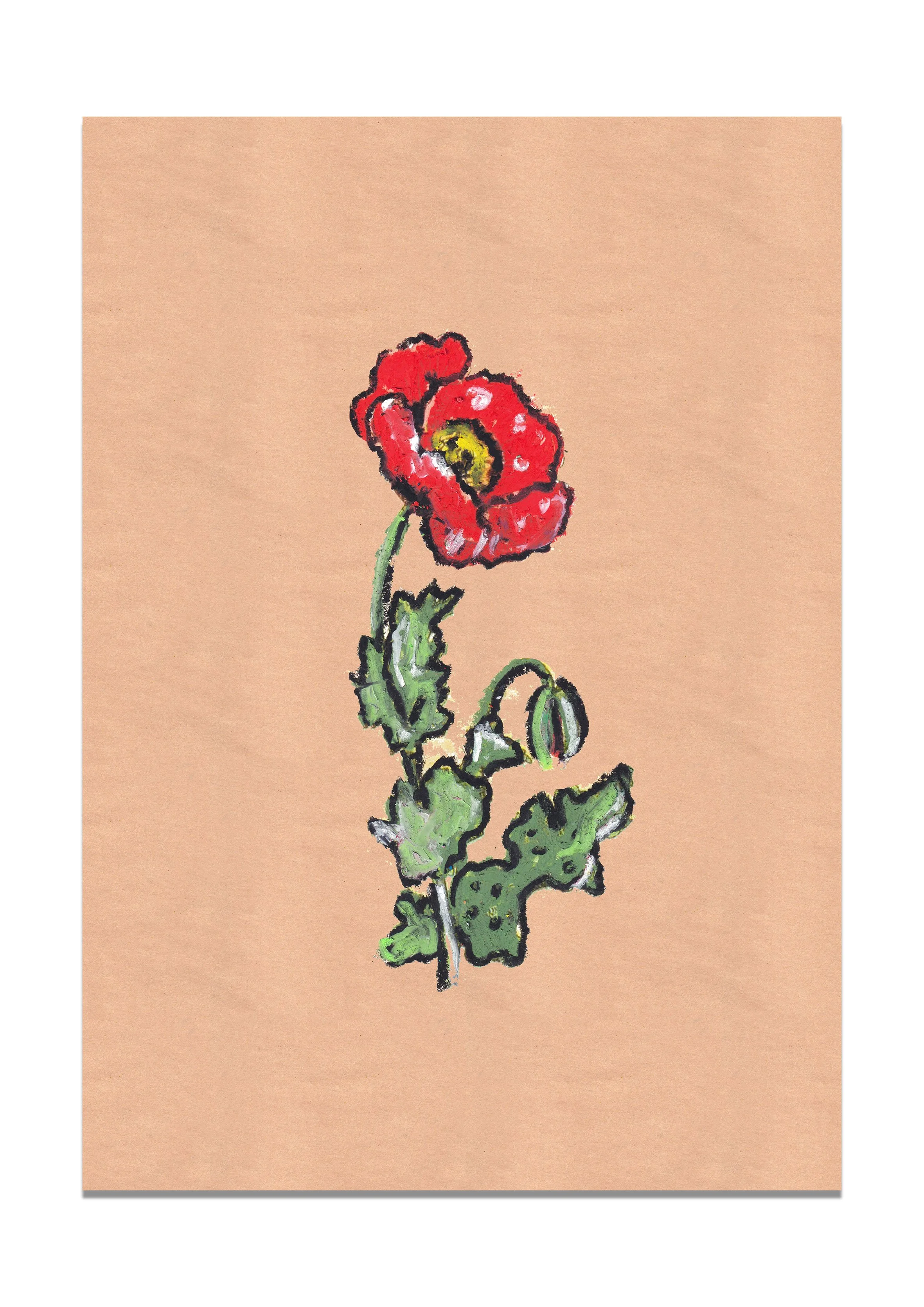 bloomsbury-poppy-print.jpg