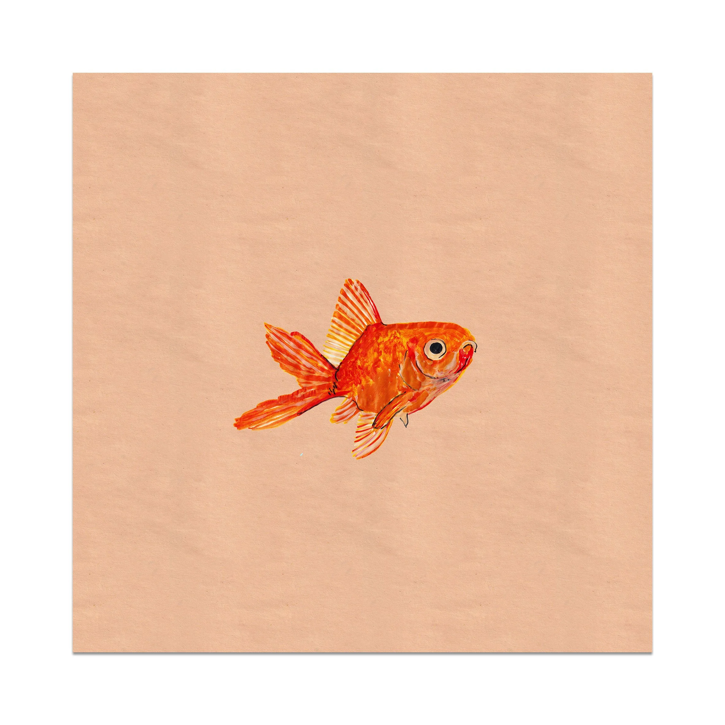 NEMO-PAPER-PRINT-FOR-WEB.jpg