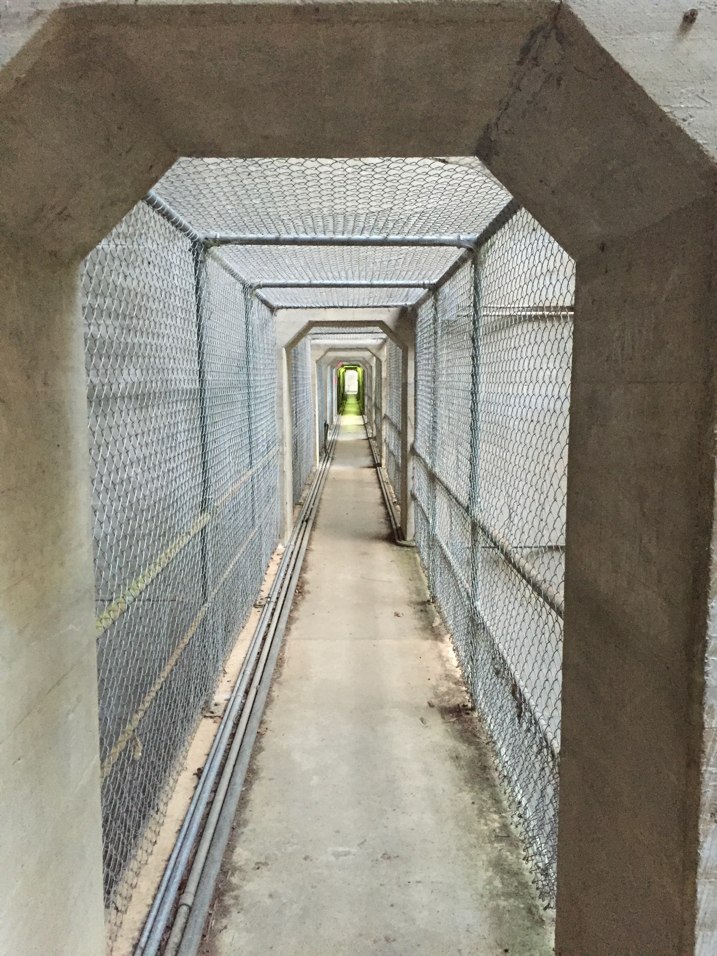 Through the dam wall...
