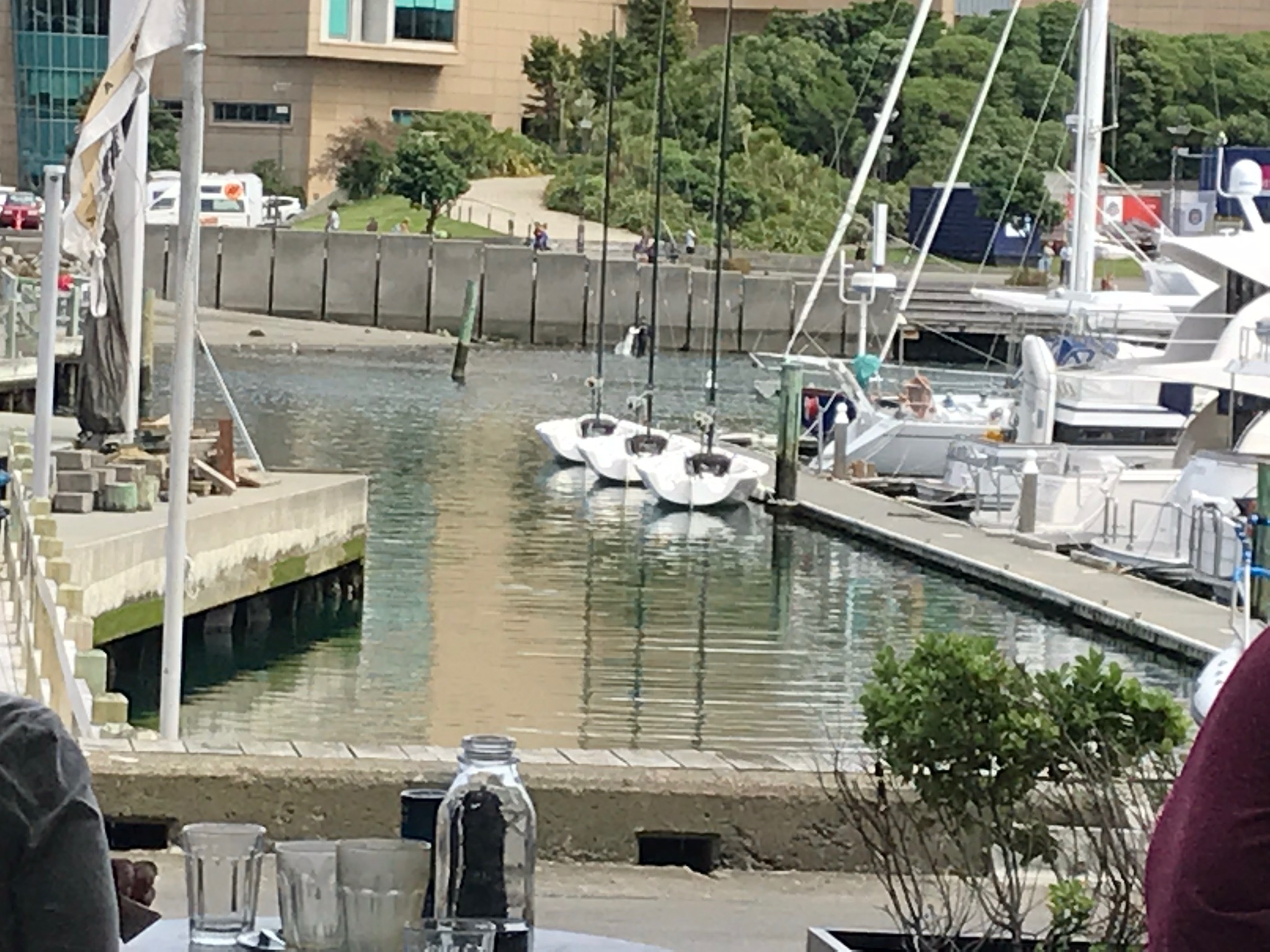 Poneke restaurant- Chaffers Marina