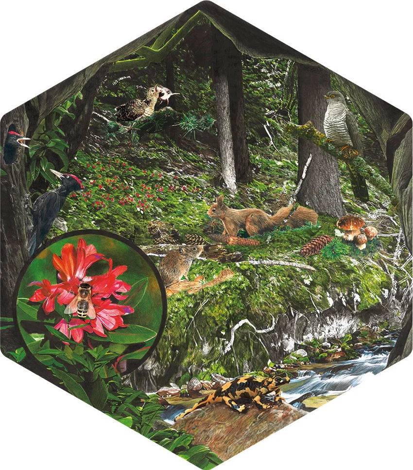 schild-6-gummer-bienenweg.jpg
