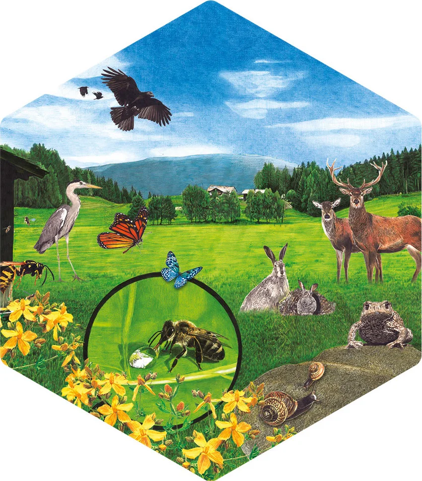 schild-5-gummer-bienenweg.jpg