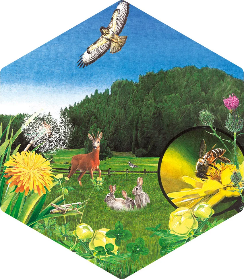 schild-4-gummer-bienenweg.jpg