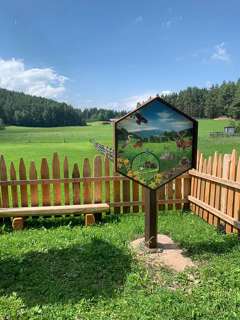 Bienenwald Gummer Schild nr.6