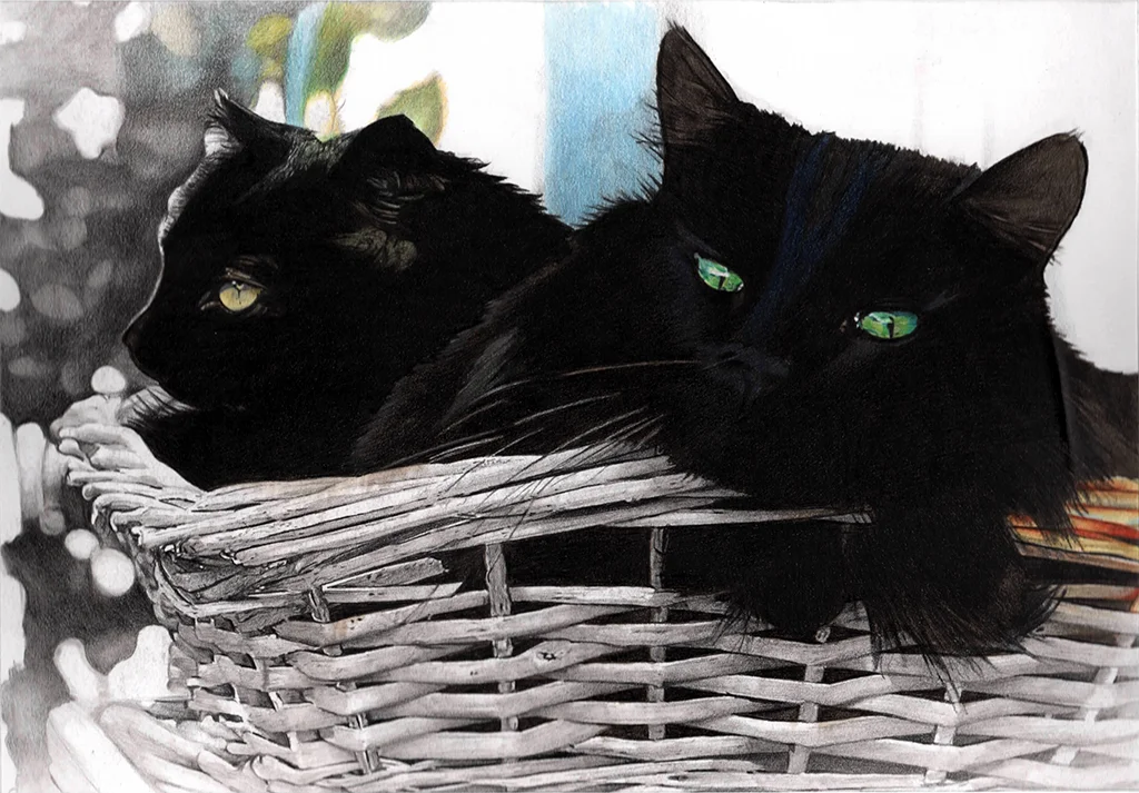 gatti-disegno.jpg