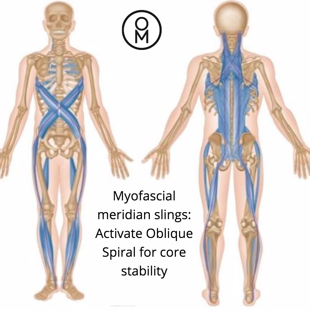 Align Fascia Oblique .png